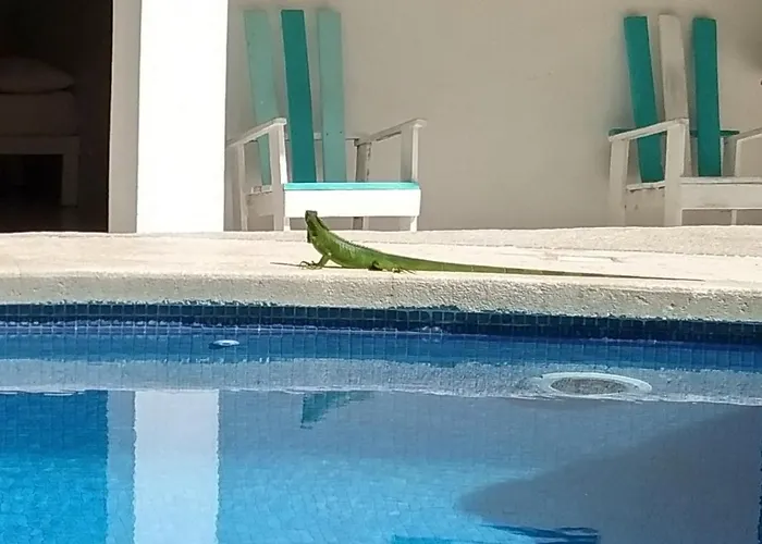 Hotel Nosara Playa